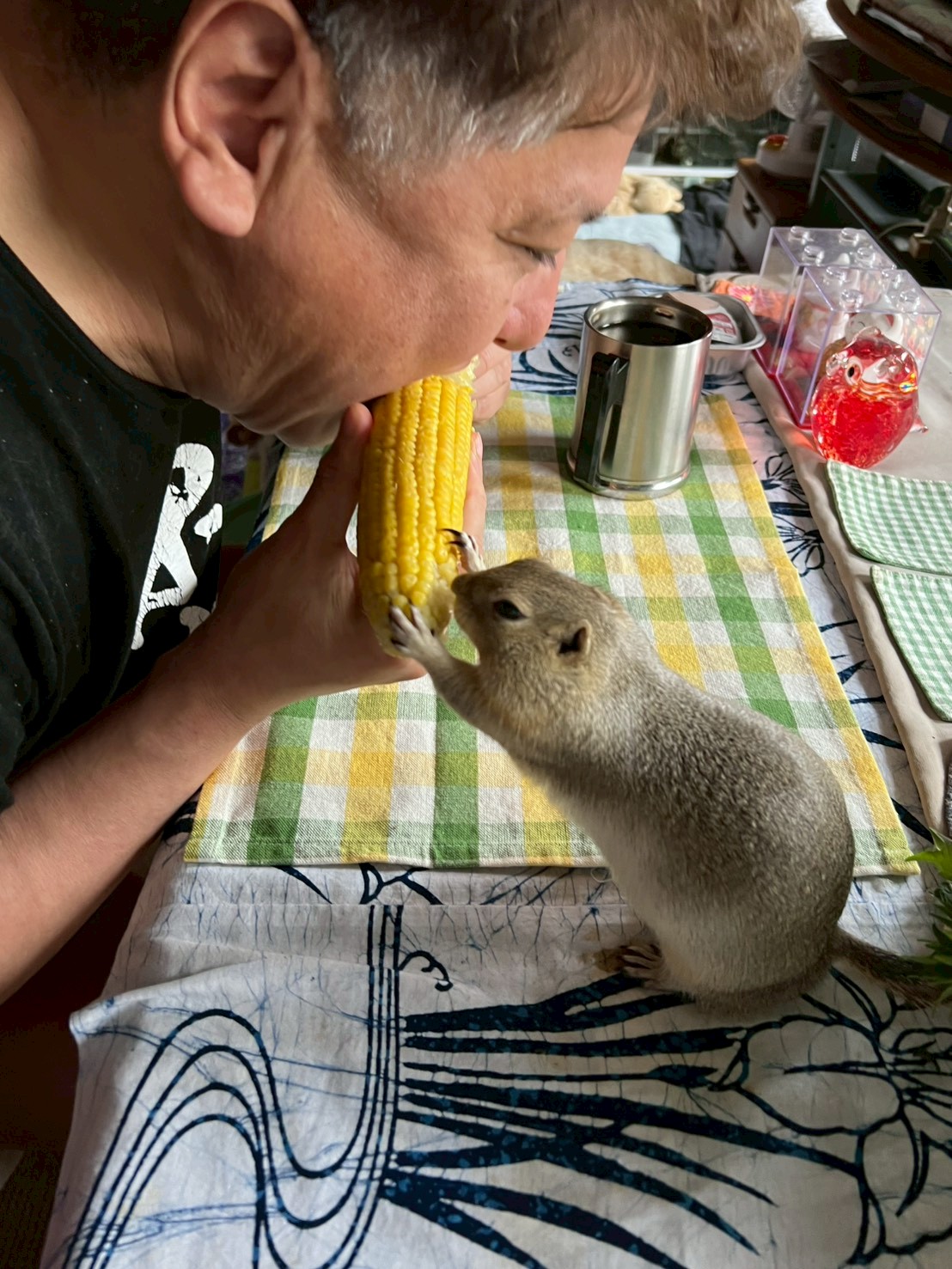 リチャードソンジリスのりーちゃん（オス）